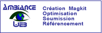 optimisation internet